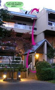 The fall (twice) from our deck to bushes below